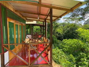 Amazon Açaí Lodge